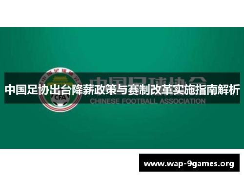 中国足协出台降薪政策与赛制改革实施指南解析