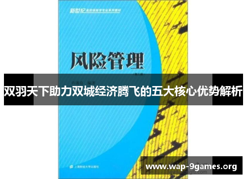 双羽天下助力双城经济腾飞的五大核心优势解析