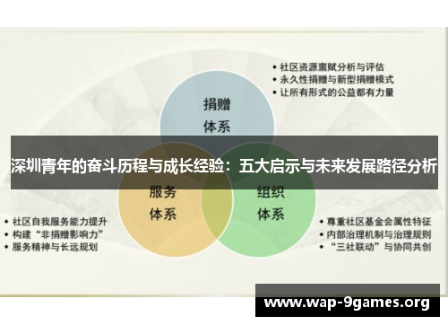 深圳青年的奋斗历程与成长经验：五大启示与未来发展路径分析