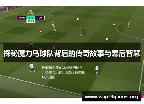 探秘魔力鸟球队背后的传奇故事与幕后智慧