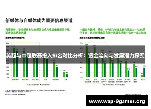 英超与中超联赛投入排名对比分析：资金流向与发展潜力探索