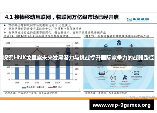 探索HNK戈里察未来发展潜力与挑战提升国际竞争力的战略路径