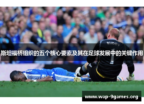 斯坦福桥组织的五个核心要素及其在足球发展中的关键作用
